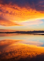 Yellowstone National Park Wyoming USA 64